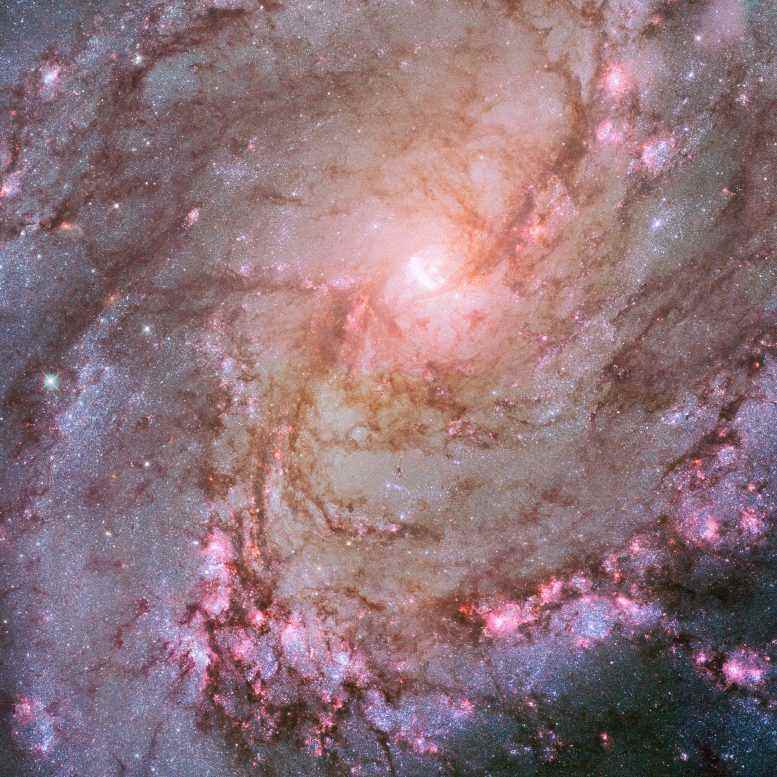 M83 Hubble Uzay Teleskobu