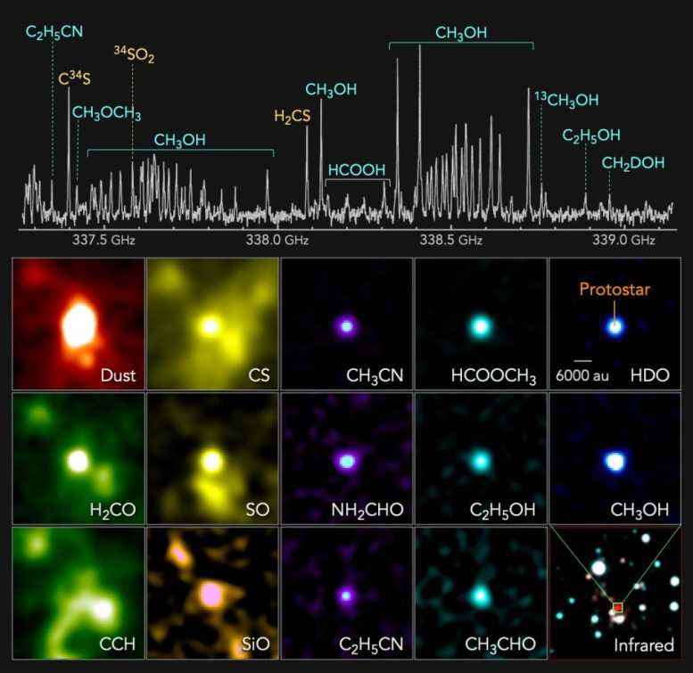 Radyo Spektrumu Aşırı Dış Galaksi Protostar