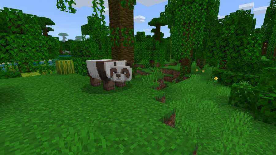 Minecraft pe tohumları, orman biyomunda bir panda izliyor