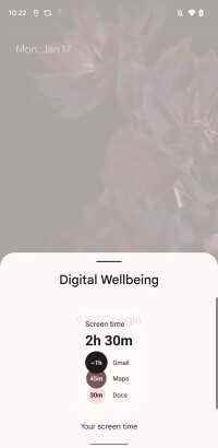 Dijital-Sağlık-Sizin-Ekranınız-zaman-widget'ı