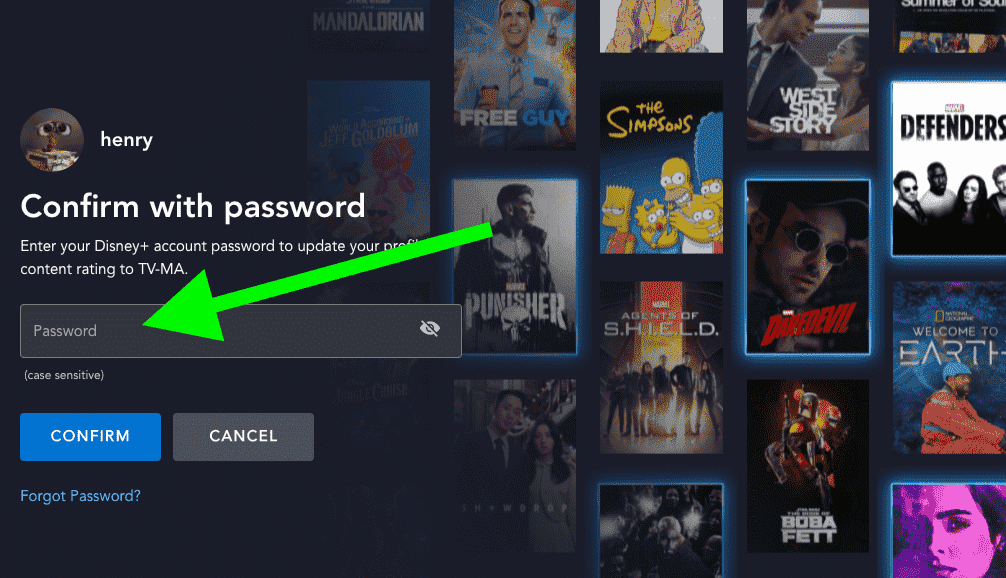 TV-MA içeriği için ebeveyn denetimlerini ayarlamak üzere bir Disney Plus oturum açma ekranında Parola alanı vurgulanır