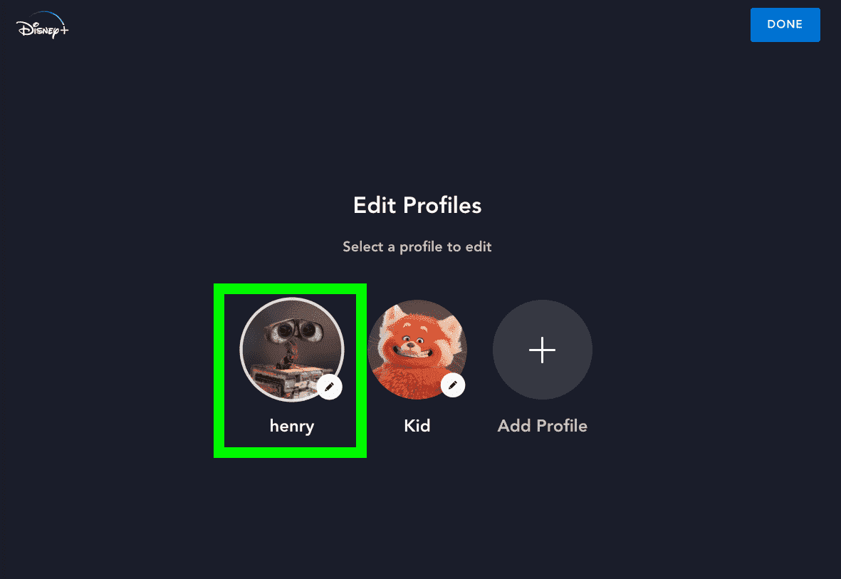 Disney Plus Profilleri Düzenle sayfasındaki bir kutu bir profili vurgular