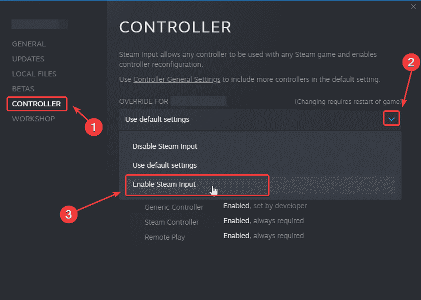 Steam Girişini etkinleştirmek, Persona 4 Arena Ultimax Controller sorununu çözecektir