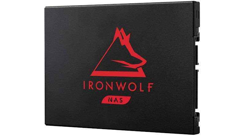 Seagate IronWolf 125