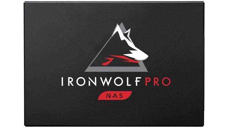 Seagate IronWolf Pro 125