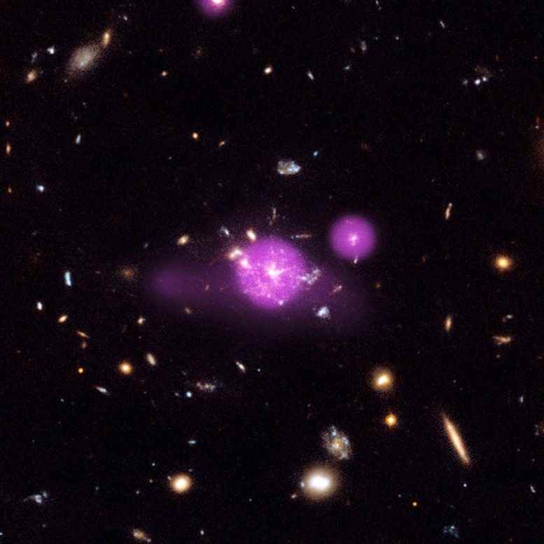 Feasting Black Holes Caught in Galactic Spiderweb