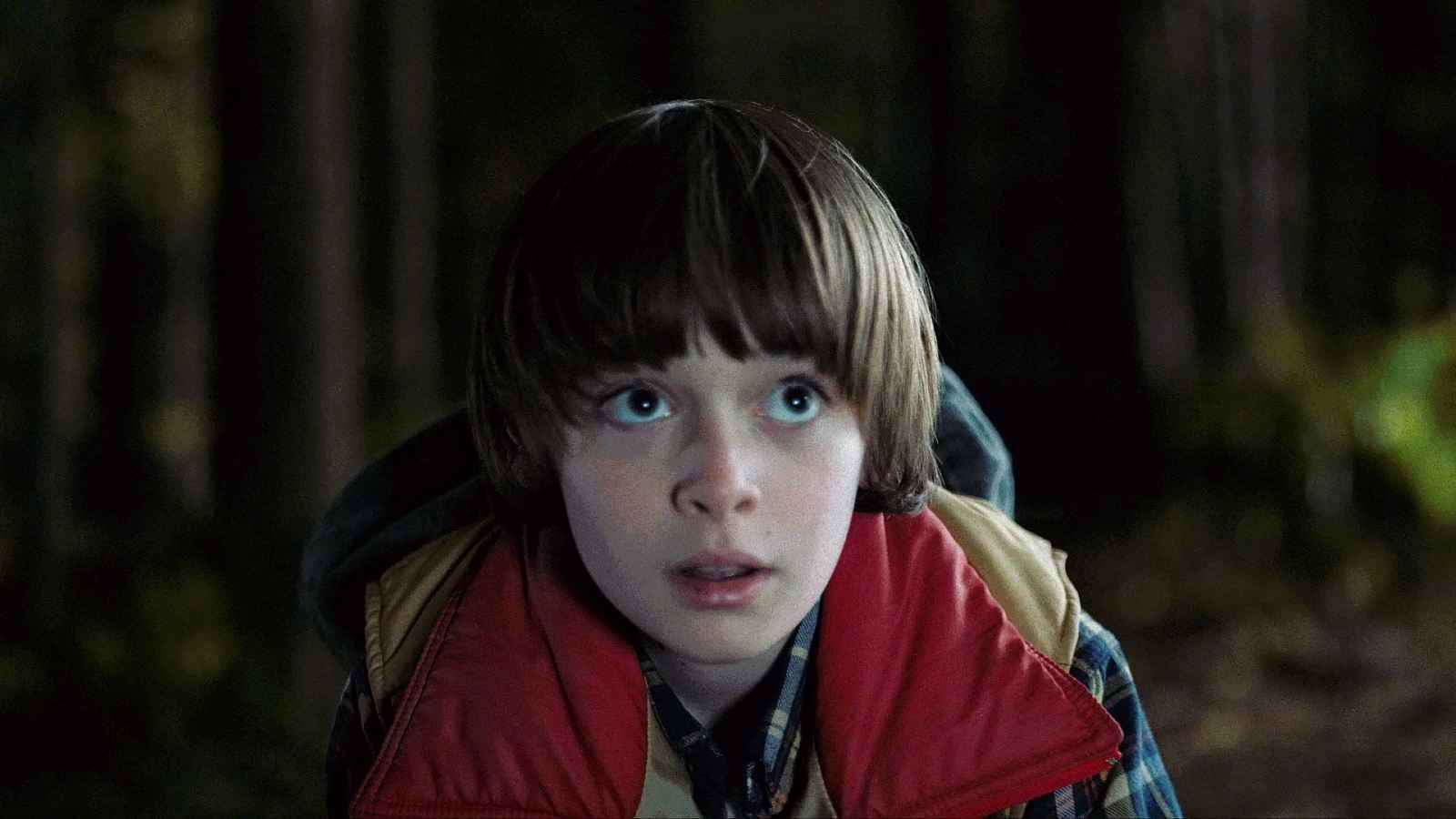 Noah Schnapp, Stranger Things 1. sezonda Will Byers rolünde