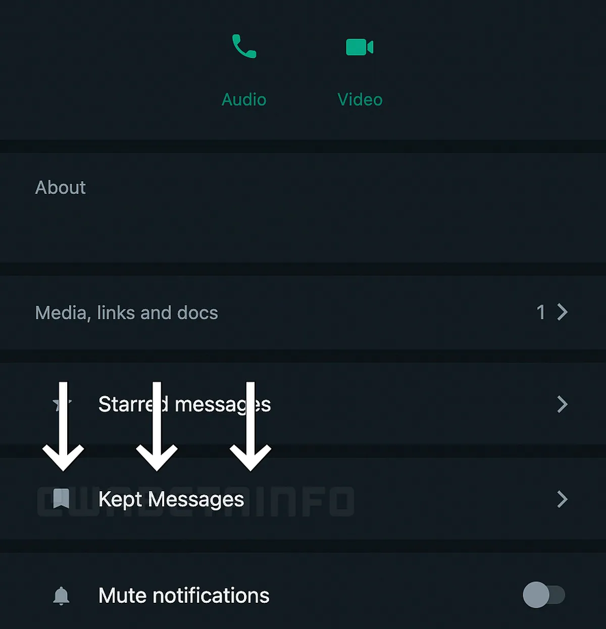 whatsapp tutulan mesajlar bölümü wabetainfo satır içi whatsapp 