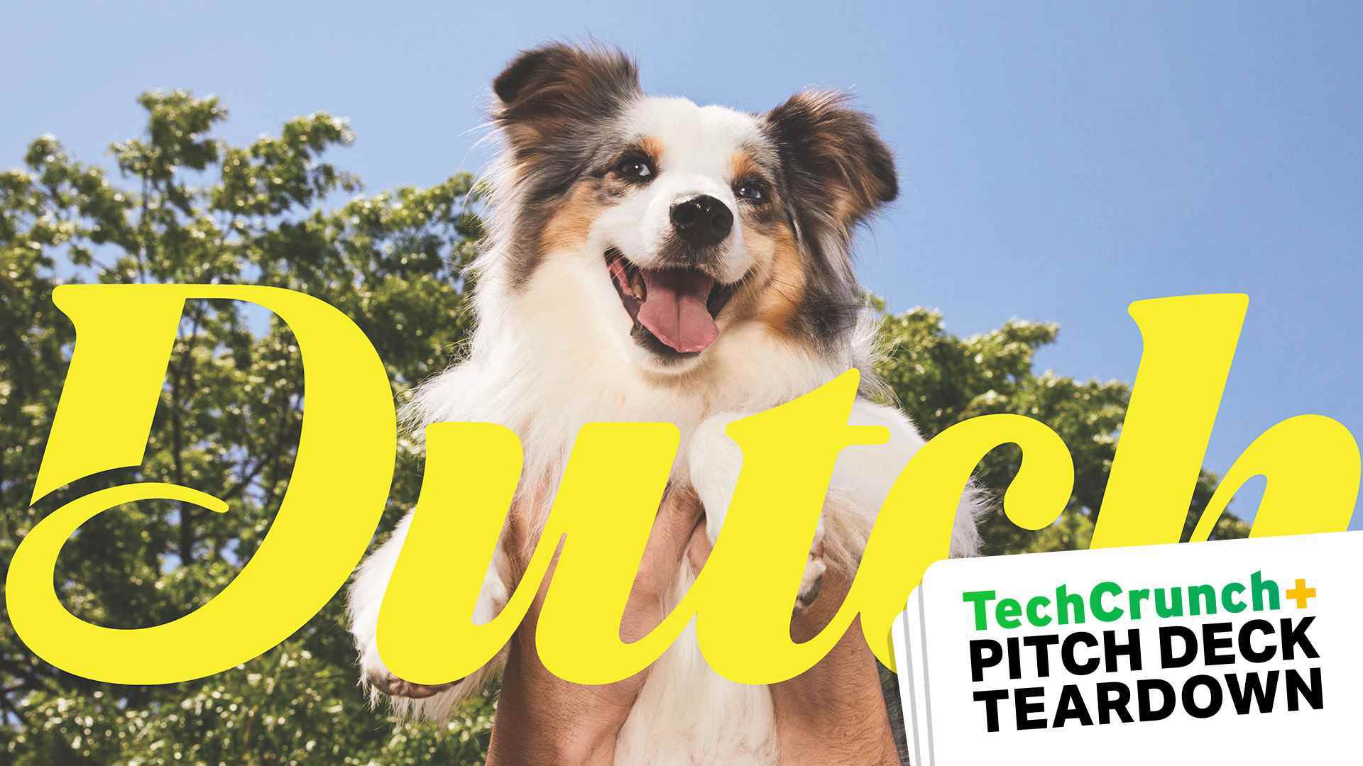 Sevimli bir köpek, DUTCH kelimesi ve TechCrunch Pitch Deck Teardown ile birlikte Pitch güverte kapağı slayt