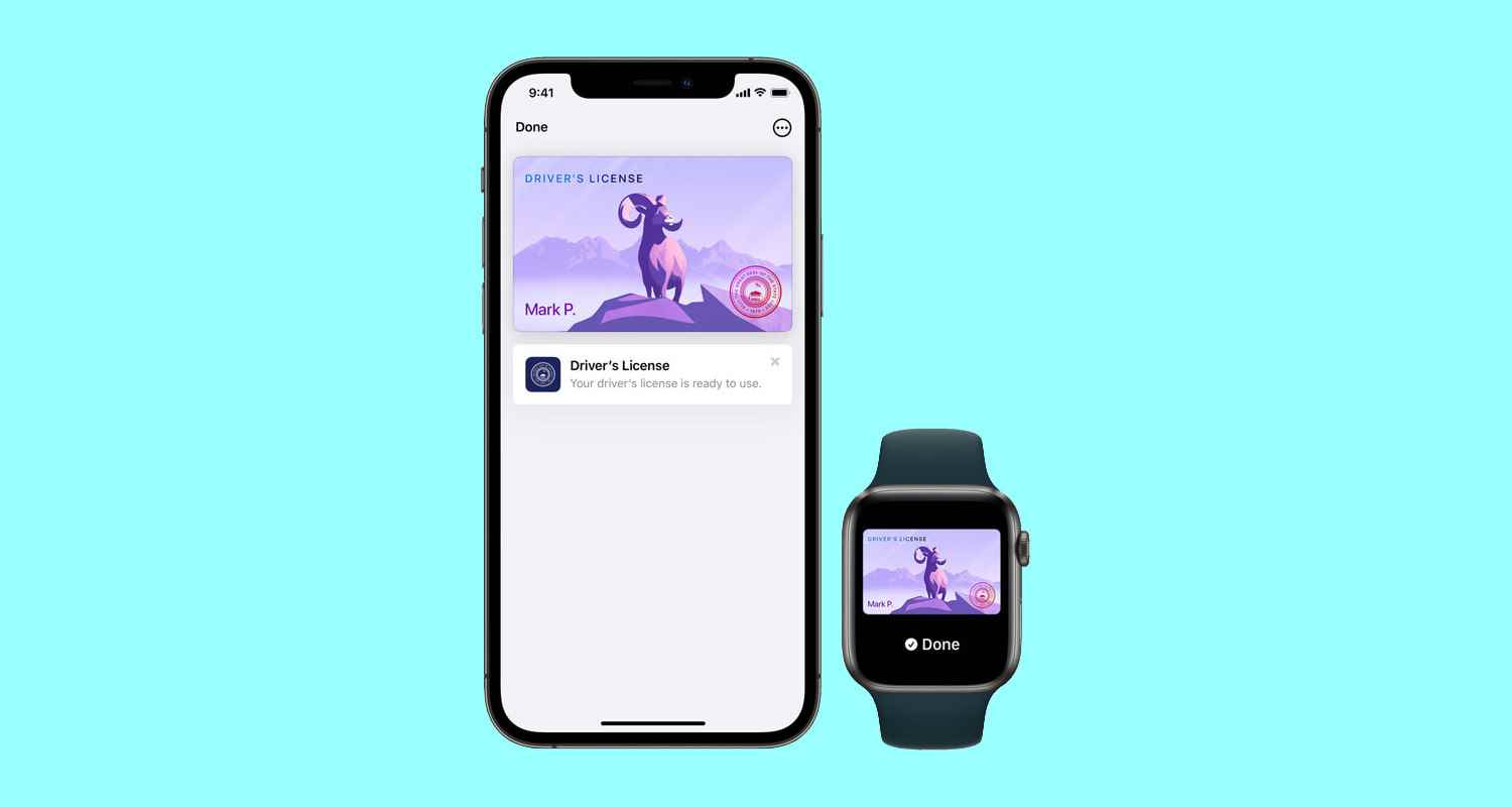 Bir Apple iPhone ve bir Apple Watch, Apple'ın bir eyalet sürücü ehliyetini dijital olarak temsil etmesinin maketlerini gösteriyor.