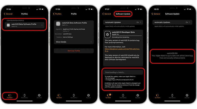 watchOS 9 geliştirici beta sürümünün nasıl yükleneceğini gösteren ekran görüntüleri