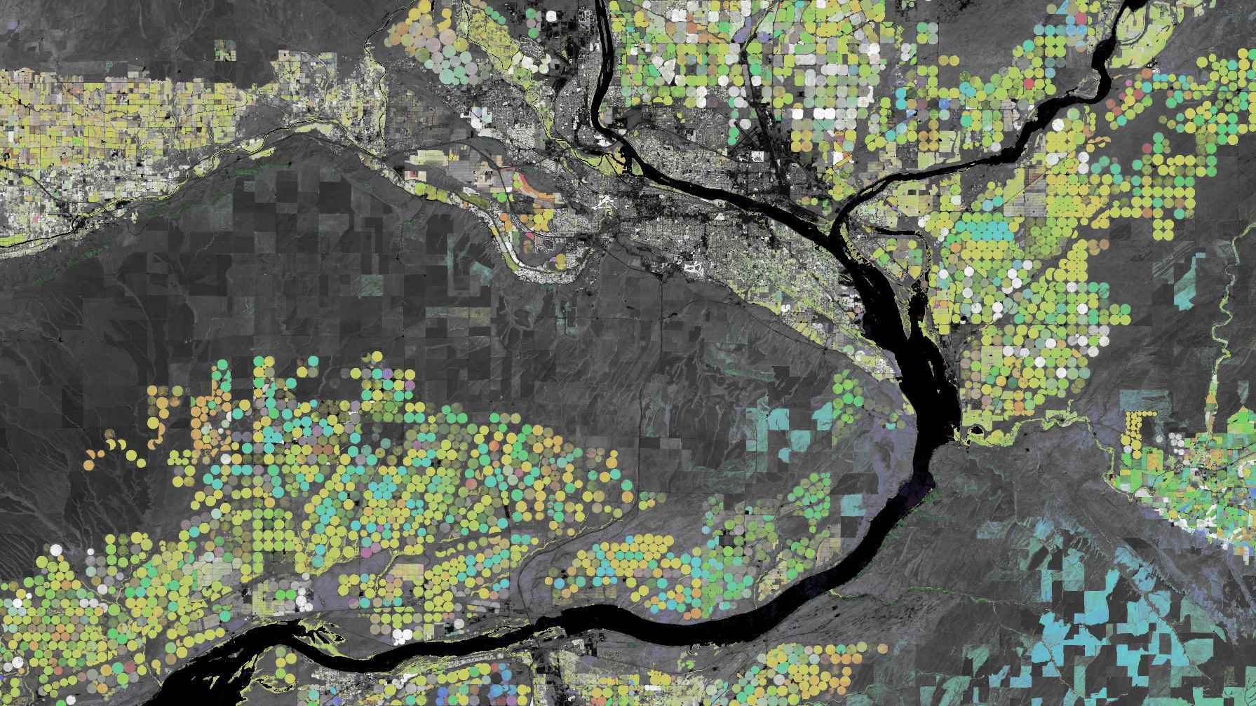 Washington eyaletindeki Columbia ve Snake Rivers yakınlarındaki mevsimlik tarımsal zirveleri gösteren Uydudan türetilmiş bir Earth Engine görüntüsü.  Yuvarlak tarlalar farklı aylarda olgunlaşan mısır ve soyadır.