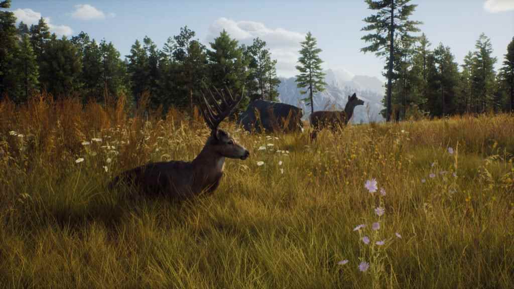 Way of the Hunter Ekran Görüntüsü Steam'den