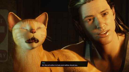 Saints Row incelemesi: ana karakterin yanında bir kedi miyavlıyor