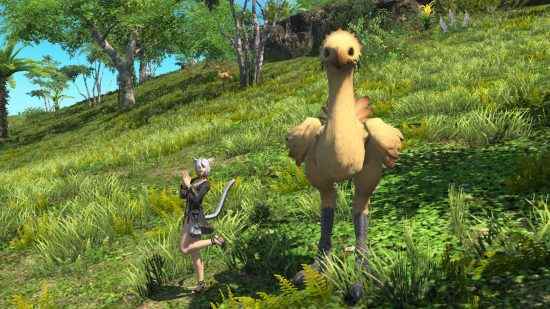 FFXIV Island Sanctuary Animals'ın yakalanması için özel araçlar gerekir.