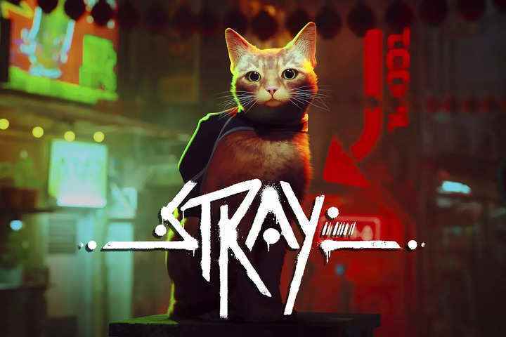 İşte 'Stray' kedi video oyununun gerçek kedilere bazı faydaları nasıl sağladığı