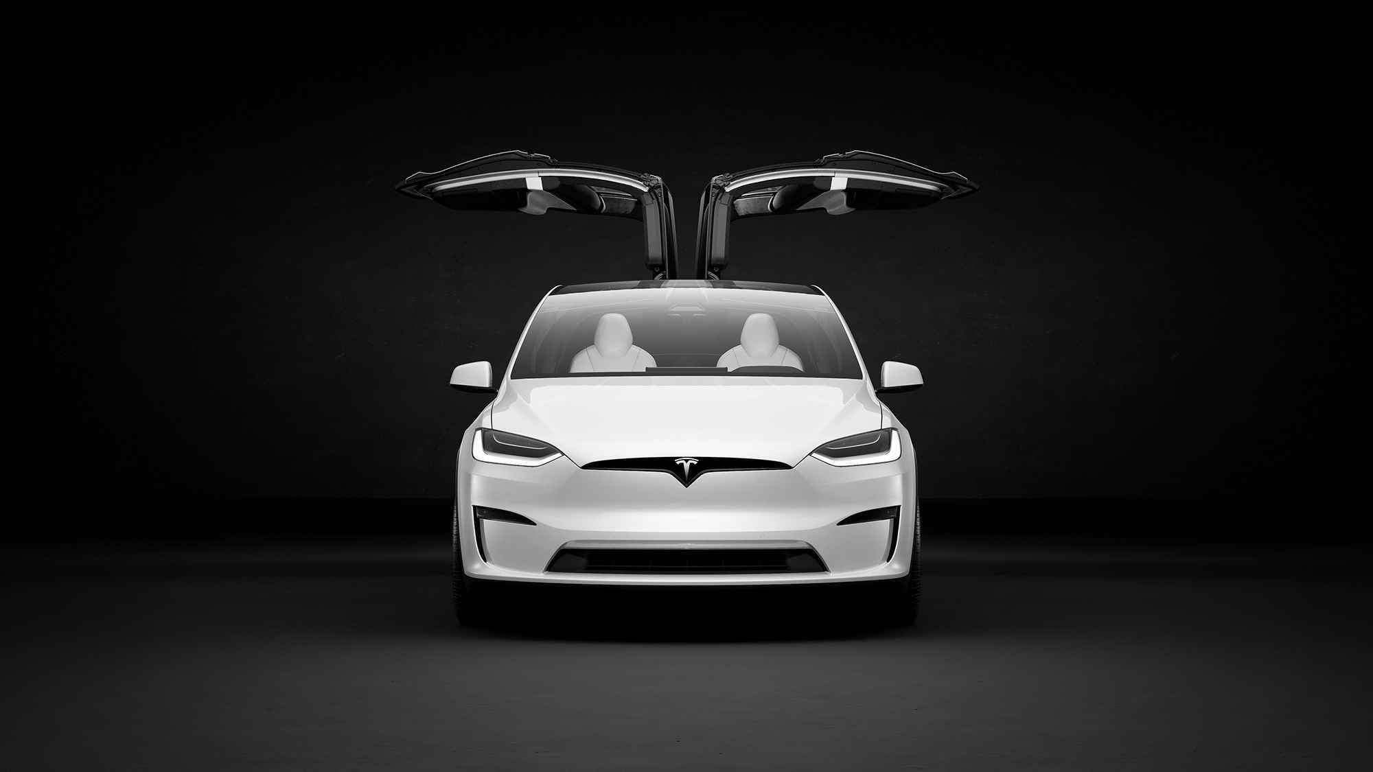 Tesla Model X martı kanadı kapılar