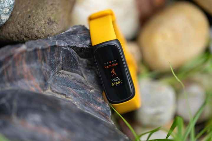 Bir kayaya yaslanmış Fitbit Inspire 3.