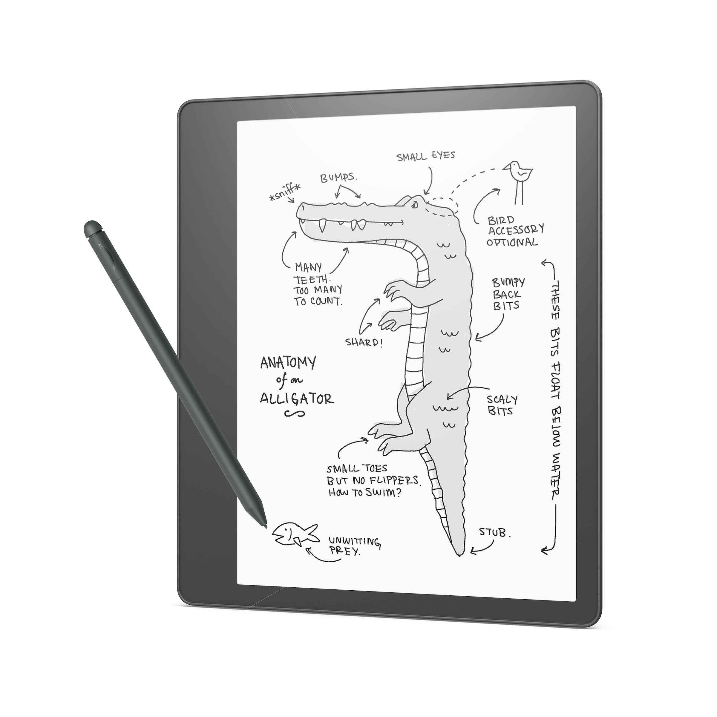 Ekranda bir dinozor çizimi olan bir Amazon Kindle Scribe fotoğrafı.
