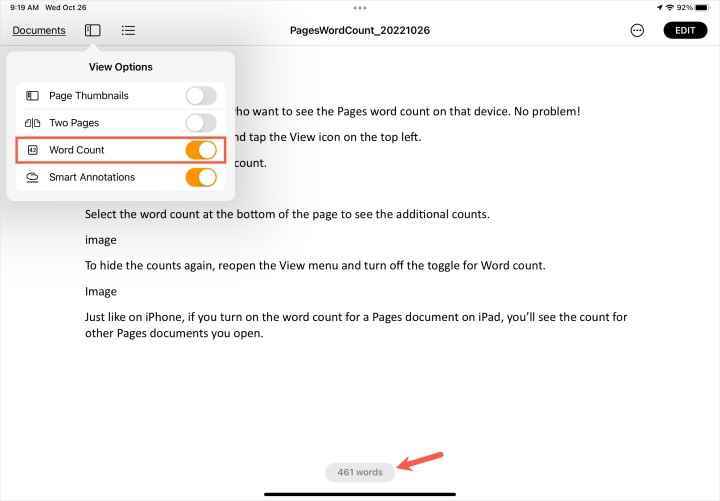 iPad'deki Sayfa Görünümü menüsünde Kelime Sayısı'nı açın.