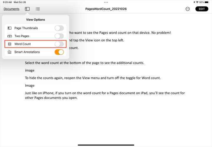 iPad'deki Sayfa Görünümü menüsünde Kelime Sayısı'nı kapatın.