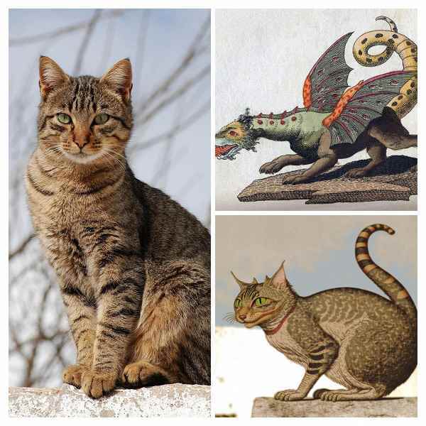Cheburashka'nın kedi somunu, kedi-ejderhası ve alay konusu: Midjourney sinir ağı görüntüleri “çaprazlamayı” öğrendi