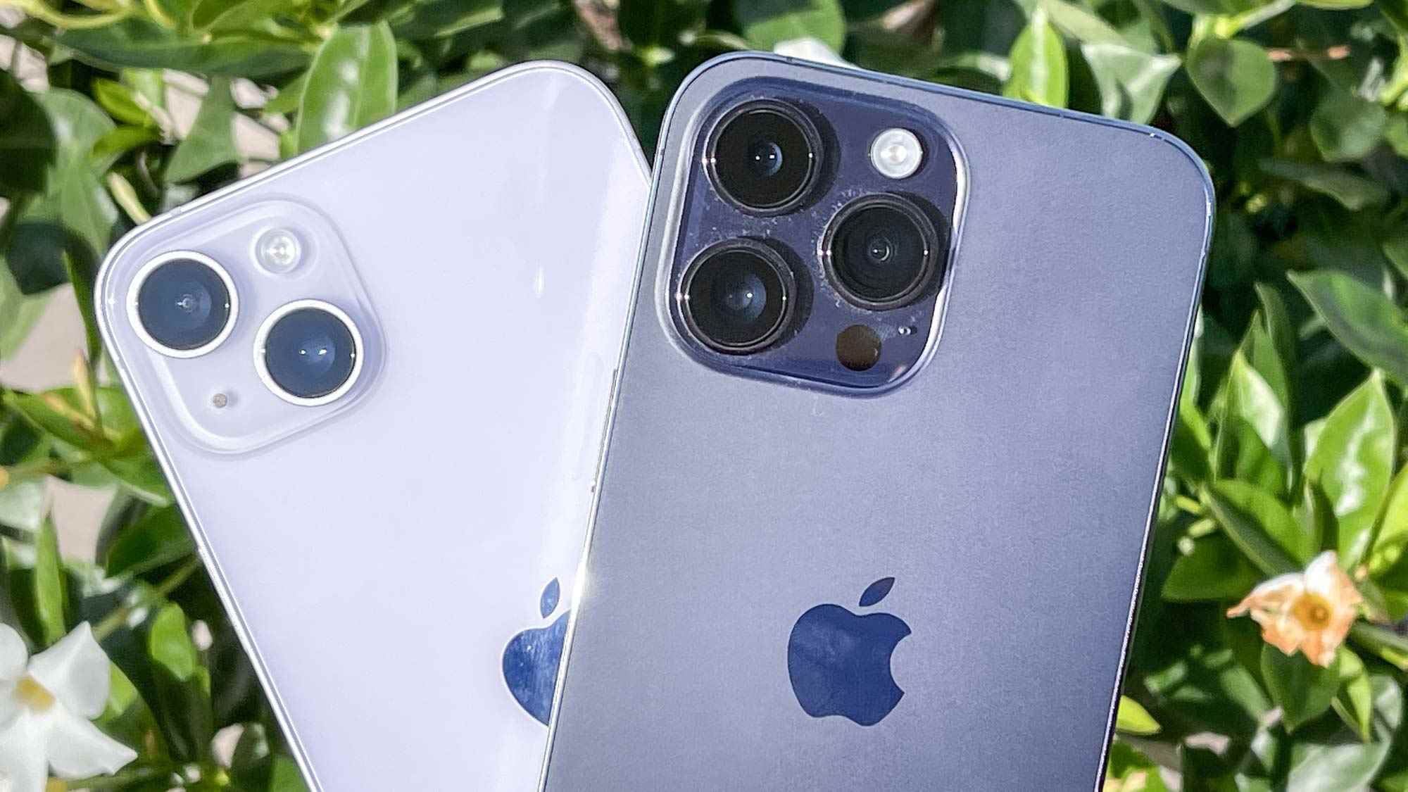 iPhone 14 Plus ve iPhone 14 Pro Max karşılaştırması