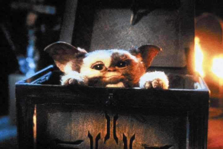 Gremlins'ten bir sahnede bir gremlin göğsün içinde başını kaldırıyor.