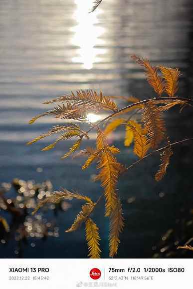 Çeşitli senaryolarda yetenekli Xiaomi 13 Pro'daki Leica kamera nedir?  Neredeyse üç düzine fotoğraftan oluşan yeni bir seçim