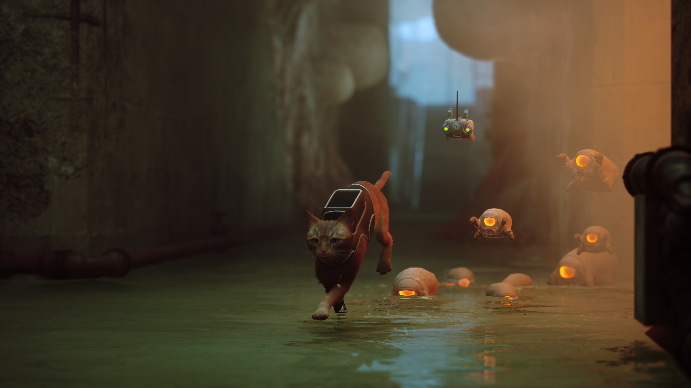 Stray oyununda bir kedi sulu bir mağarada tek gözlü uzaylılardan kaçar.