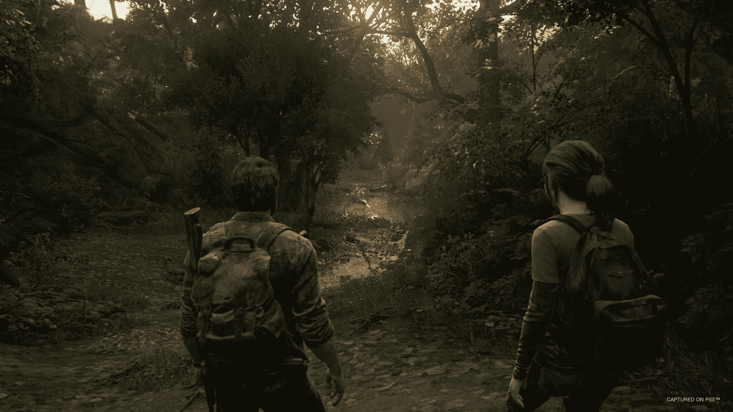 Orman yolunda sırtları bize dönük iki kişi yürüyor.