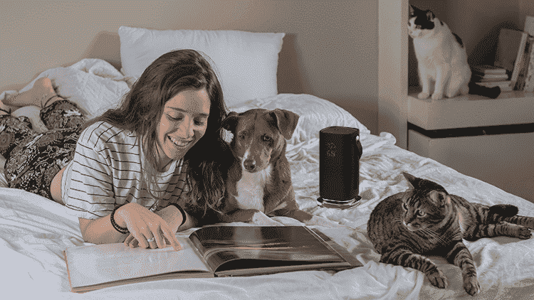 Acer Halo Swing Speaker'ın yanında bir köpek ve iki kediyle birlikte yatakta kitap okuyan genç bir kadın.