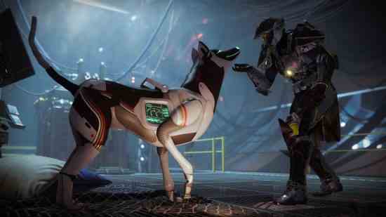 Destiny 2 - Bir Guardian, Exo robot köpeği Archie'yi evcilleştirir