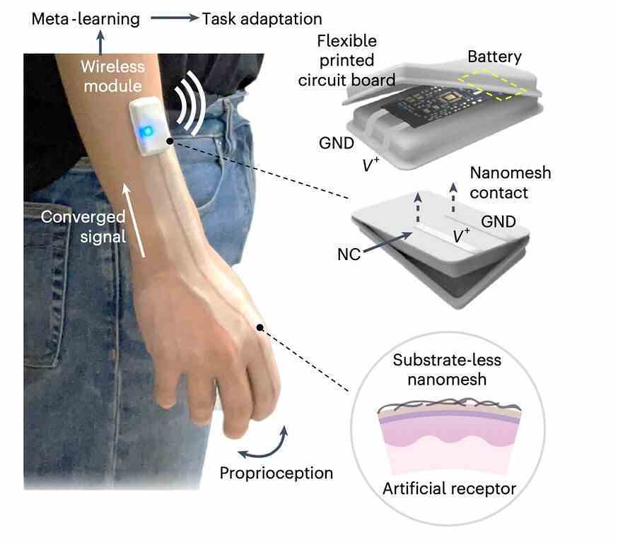 Akıllı dış görünüm, altın ve gümüş kaplı milyonlarca nanotelden oluşan bir ağ içerir - Spreyli akıllı dış görünüm, kullanıcıların sanal QWERTY klavyelerini kullanarak telefonlarında yazmasına olanak tanır