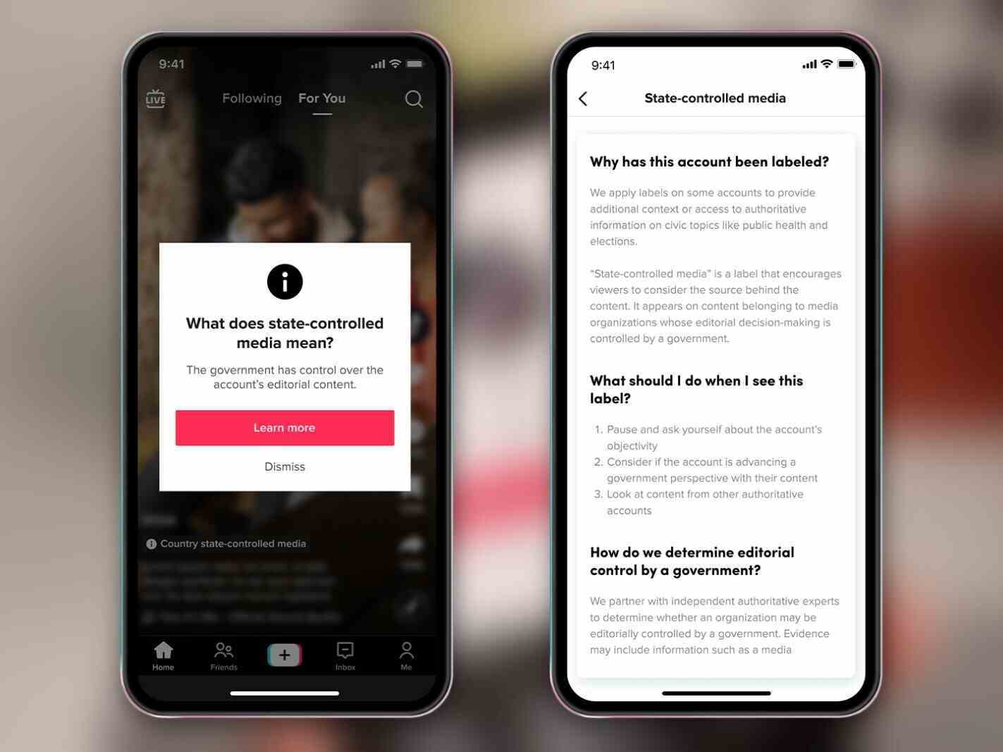 Kullanıcıların bu değişiklikten nasıl haberdar olabileceklerine dair örnek bir ekran görüntüsü.  - TikTok, hükümetle herhangi bir ilgisi olan hesapları etiketlemeye başlar