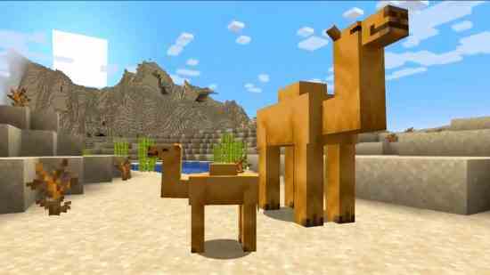 Çölde Minecraft develeri: bir bebek ve yetişkin deve