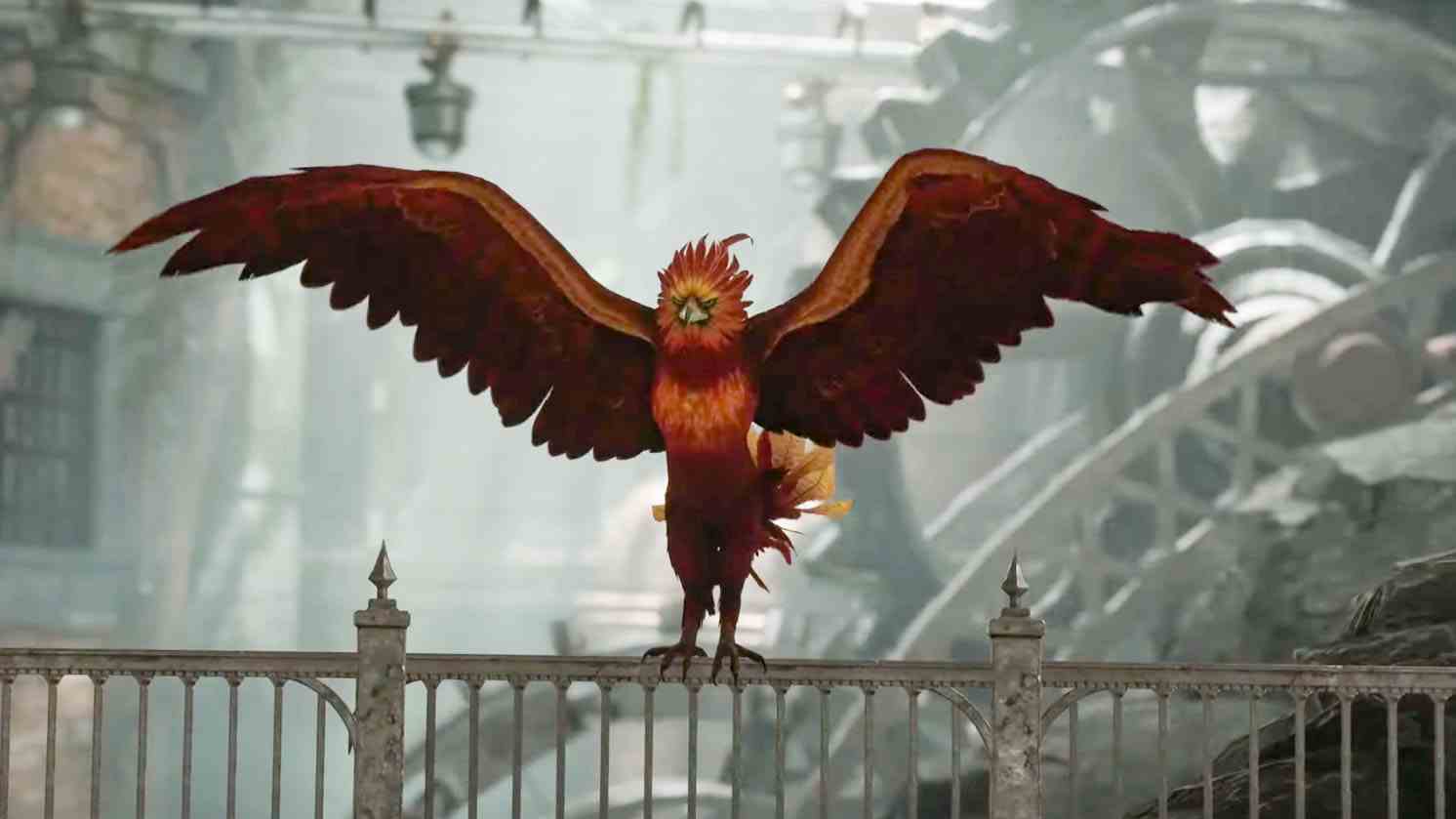 Hogwarts Mirası Phoenix