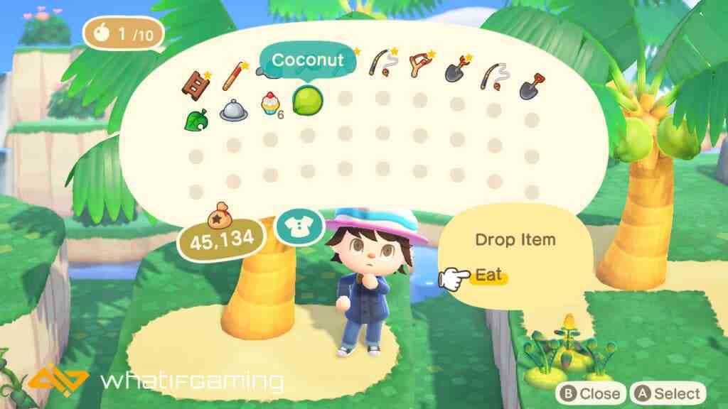 Animal Crossing'de ağaçlar nasıl kazılır?