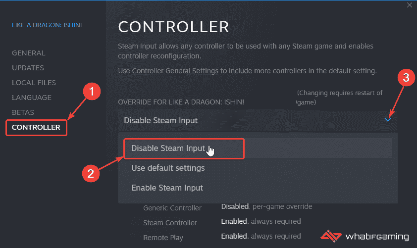 Steam kütüphanesi > Özellikler > Denetleyici > Steam Girişini Devre Dışı Bırak”  />
</picture>
</noscript><figcaption class=