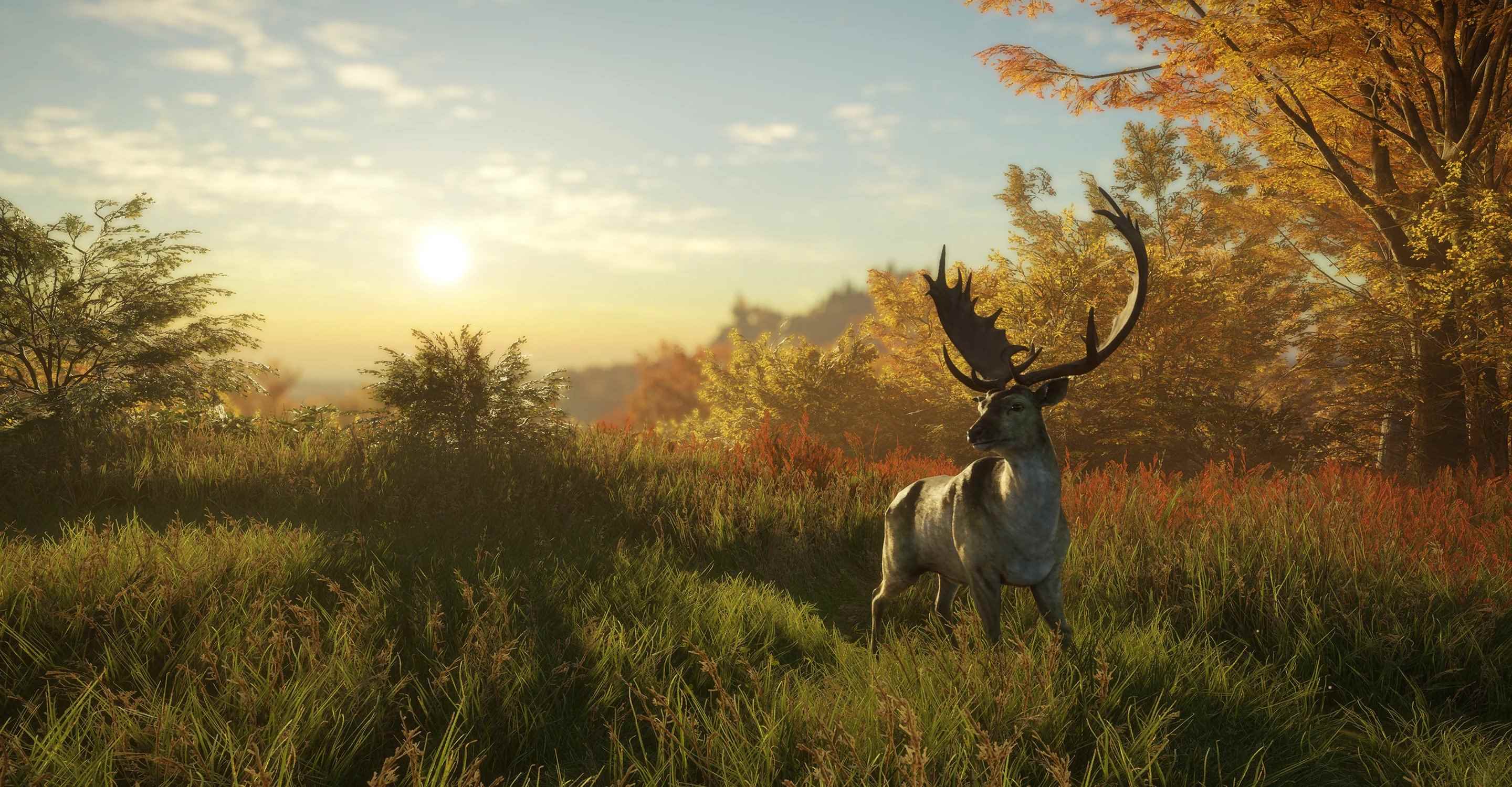 theHunter: Vahşi Çağrı Güncellemesi 1.72