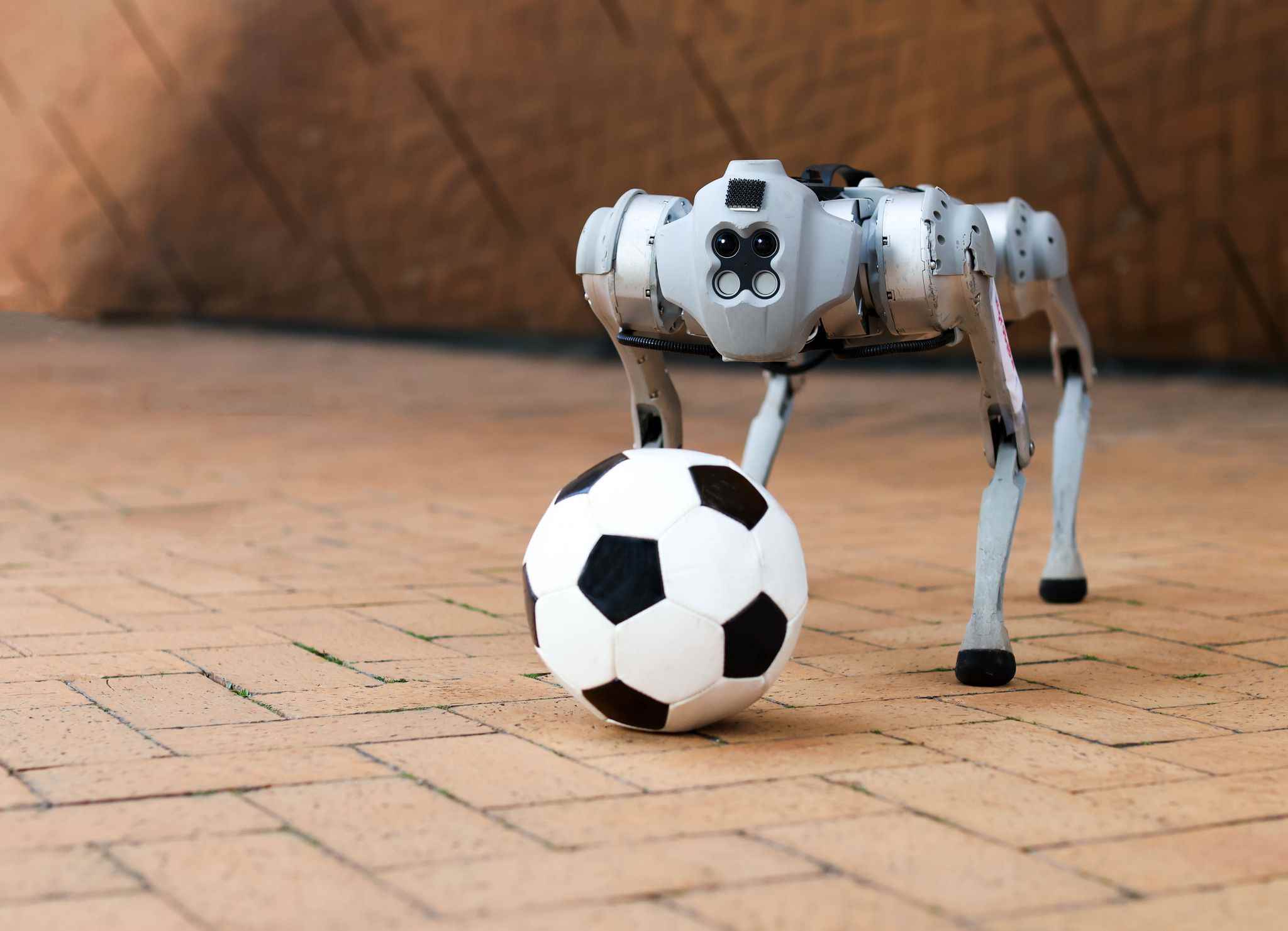 bir futbol topu ile robot