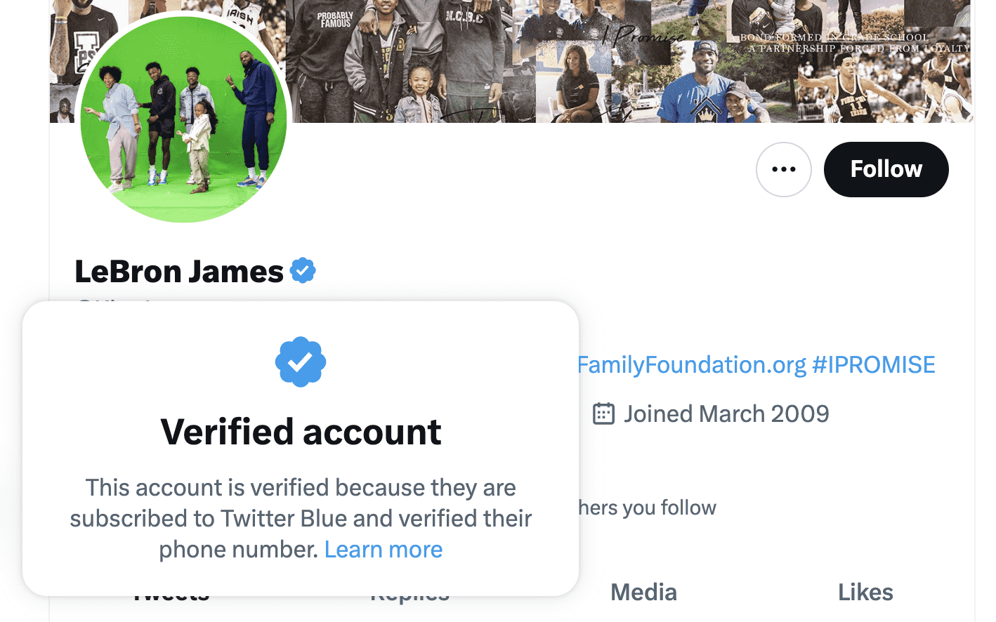 Lebron'un Twitter onay işareti 