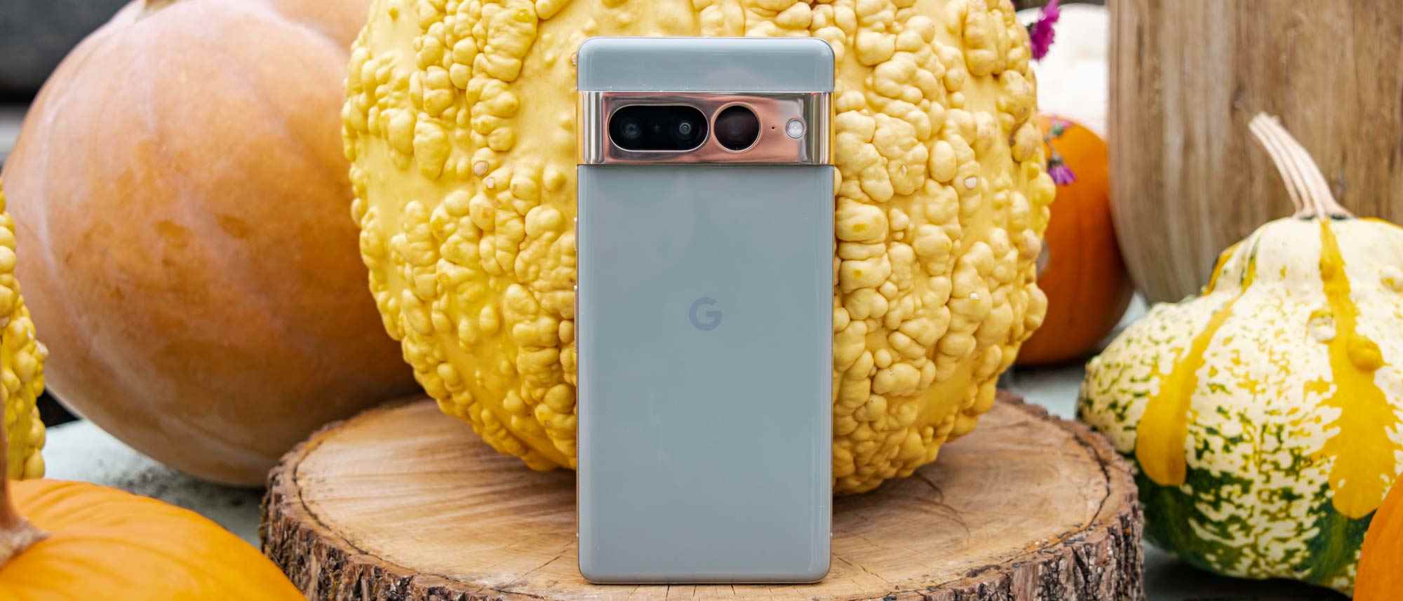 Google Pixel 7 Pro arkadan görünüm