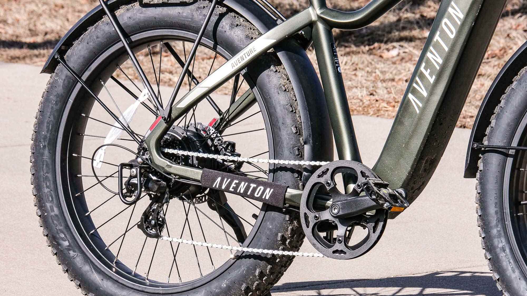 Aventon Aventure.2 parkta dışarıda oturuyor