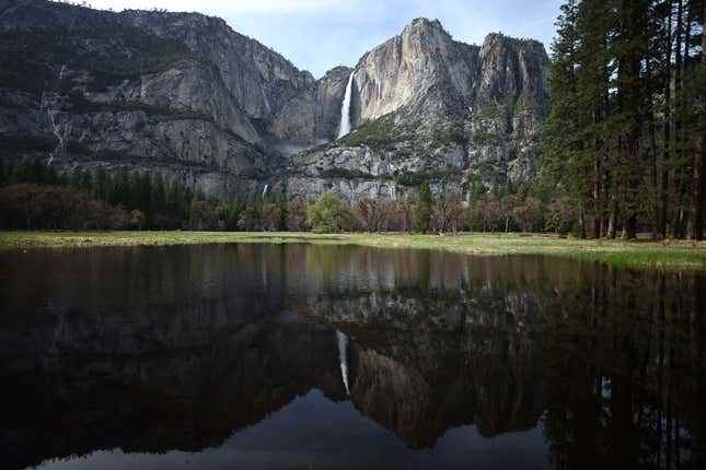 Neredeyse tamamen eriyen karla beslenen Yosemite Şelaleleri, 29 Nisan 2023'te Kaliforniya'daki Yosemite Ulusal Parkı'nda sıcak havaların kar örtüsü akışını artırması nedeniyle kısmen su basmış bir çayırda yansıtılıyor.