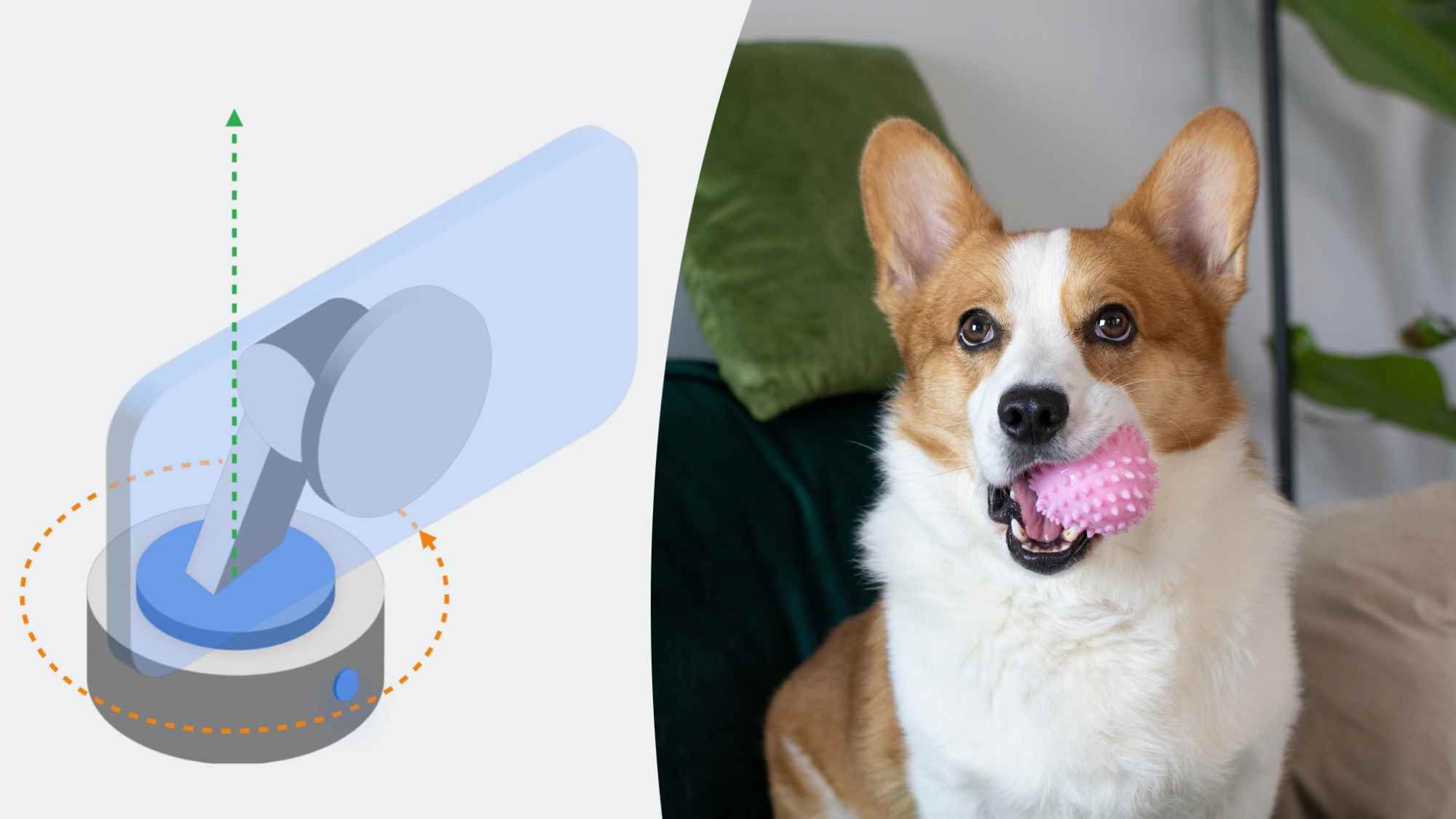 iPhone kamera izleme yuvası ve Corgi