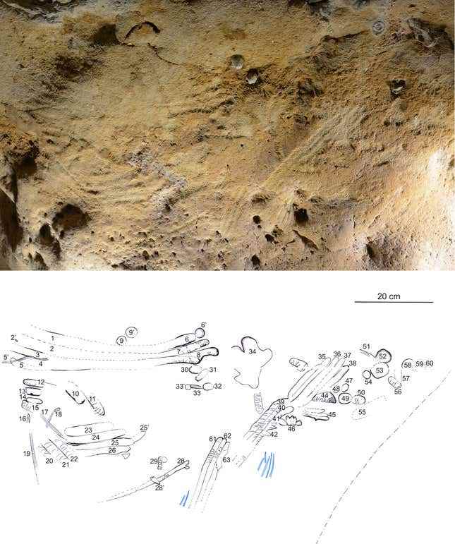 Mağarada parmak yivi (üstte) ve işaretlerin sayısını ve şeklini gösteren bir grafik.