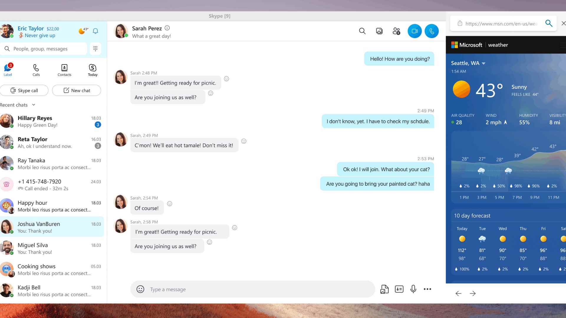 Sağda hava durumu uygulaması ayrıntılarıyla birlikte Skype UI