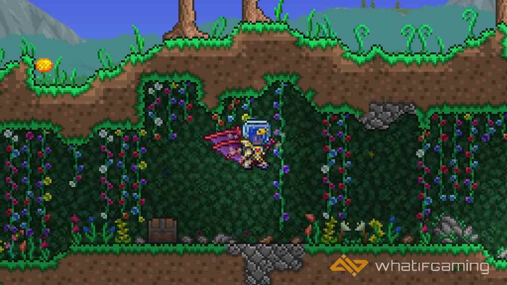 terraria betsy kanatlarındaki en iyi kanatlar