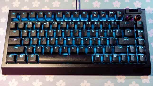 Razer BlackWidow V4 75%'in bir fotoğrafı